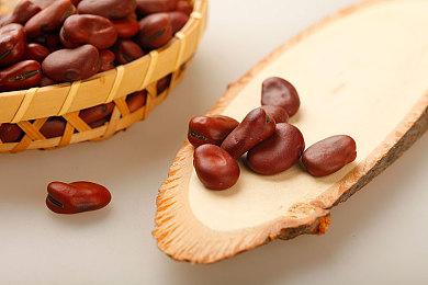 文字冒险游戏《梦灯花》新预告 2023年第一季度发售